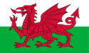 welsh New Jersey - 国名（科） (页面 1)